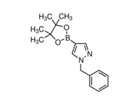 1-苯甲基-4-（4，4，5，5-四甲基-1，3，2-二氧硼戊環-2-基）吡唑，96%（GC） 